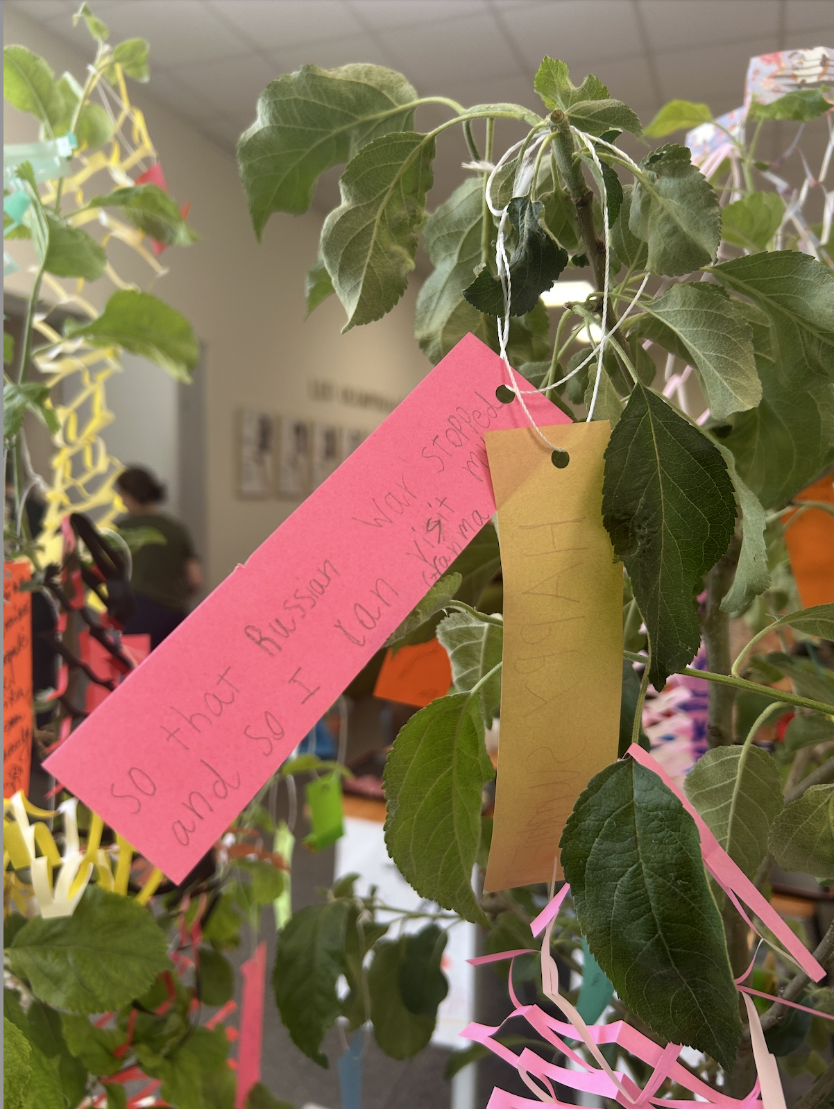 Anne Reidenbach zoomed in image a written bookmarked on plants 