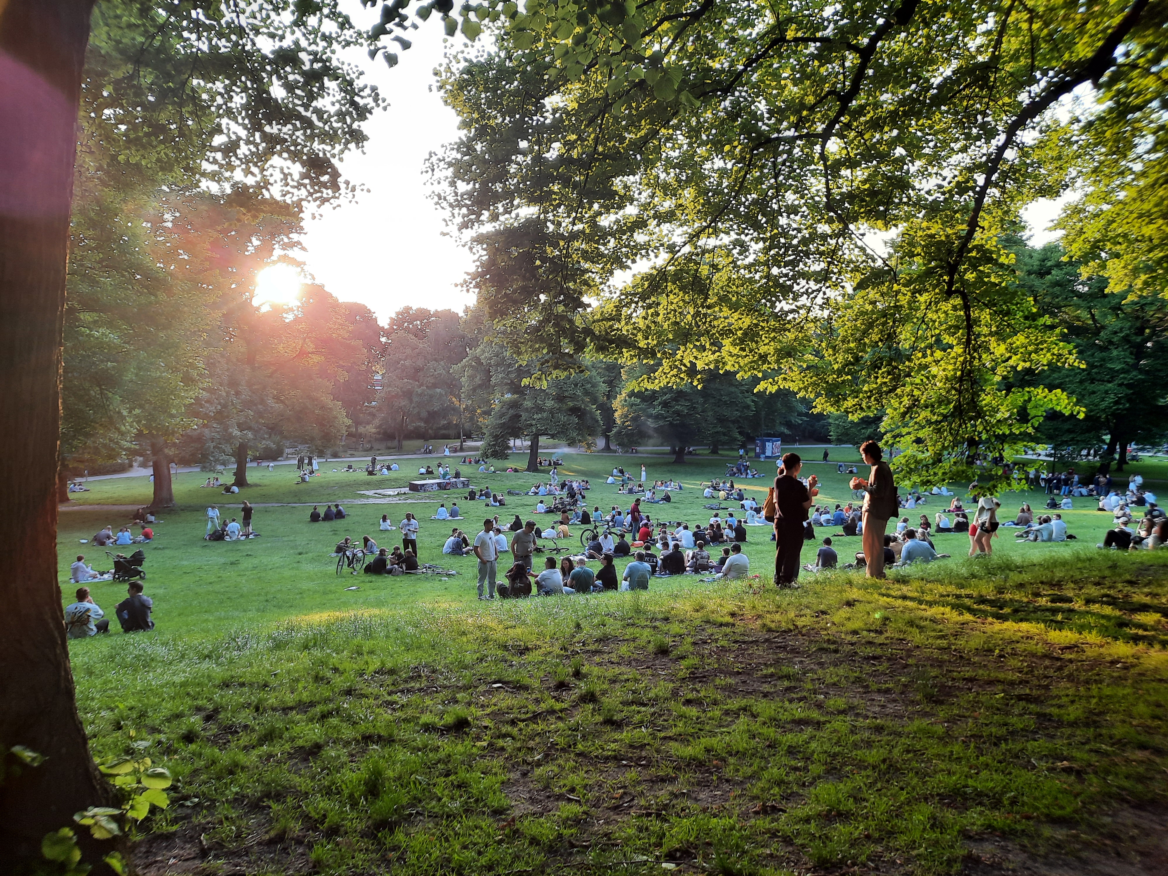 During a summer sunset in a park in Germany with people sitting in groups on the grass in an open field captured by Borna P., MIT student