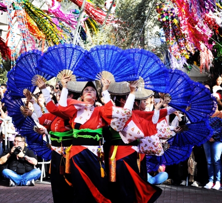 Festival das estrelas