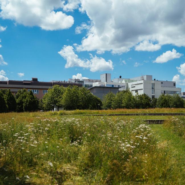 Photo of University of Stuttgart campus