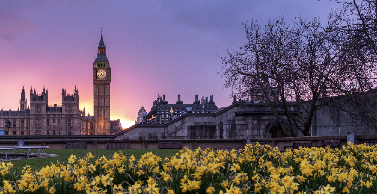 Big Ben clocktower in background with flowers in the foreground
