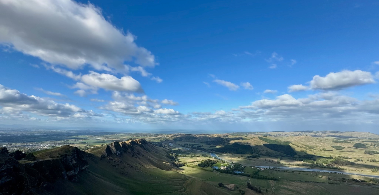 Indigenous Environmental Planning -  Aotearoa New Zealand