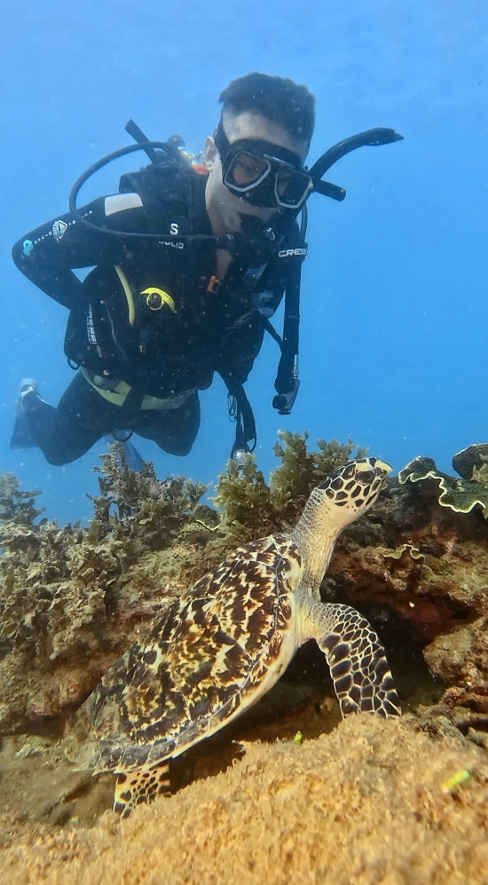 Andrew Motz diving in the sea and looking at a turtle at the bed of the sea with corals in Australia