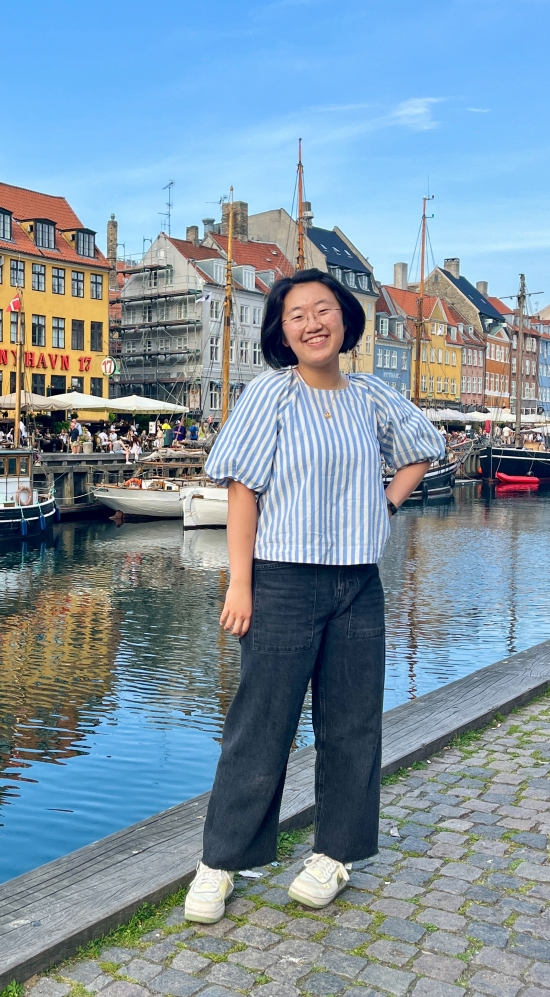 Allison Park with the colorful houses along the river in Denmark