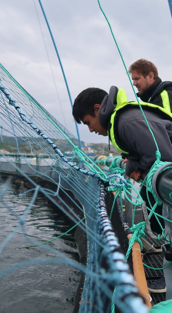 Beckett leans over a ship edge with his supervisor, Sveinung in the background