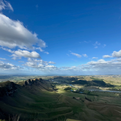 Indigenous Environmental Planning -  Aotearoa New Zealand