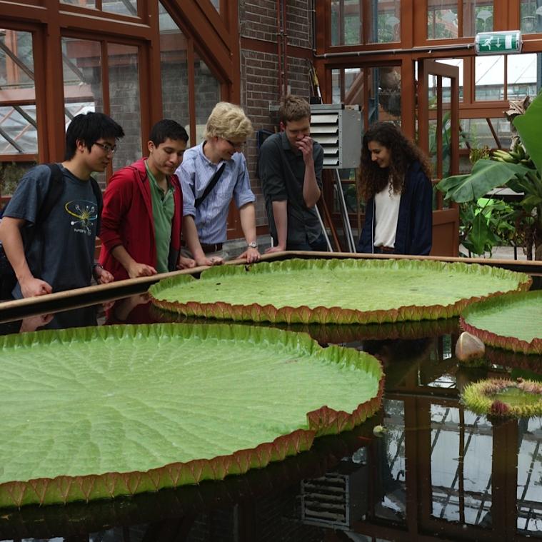 Students looking at water plants in Netherlands