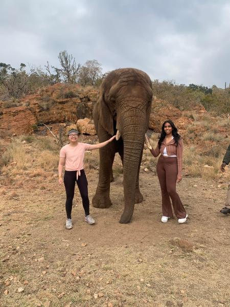 Megan Lim and her friend standing next to an elephant, both of them with one hand touching the elephant on each side of its tusk, in a savanna woodland in South Africa
