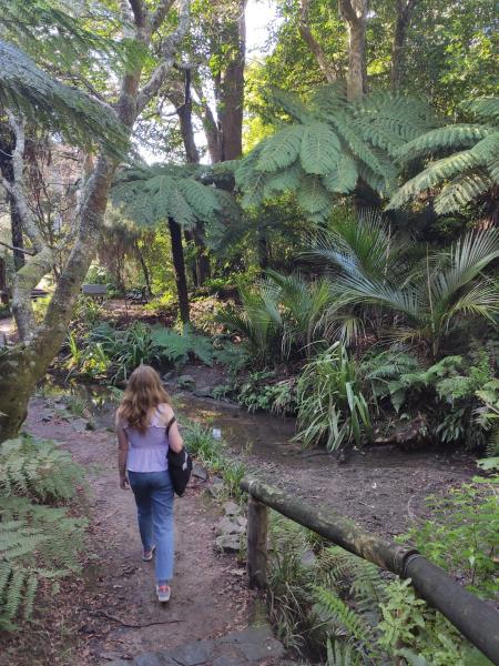 Candid photo of Emily Levenson walking in the Wellington Botanic Gardens in New Zealand, surrounded by luscious green trees