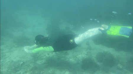 Annemarie Dapoz snorkeling in Australia wearing a wet suit and yellow flippers, diving down towards the seabed 