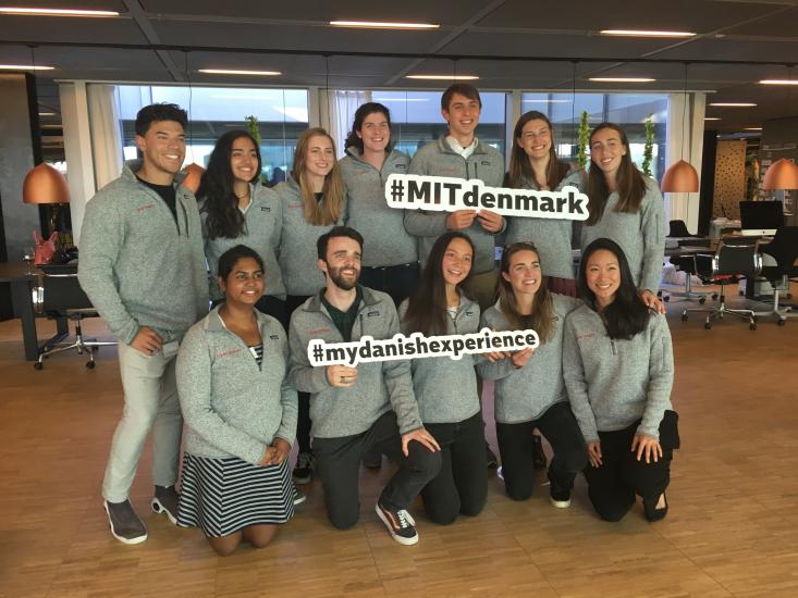Group of MIT-Denmark students
