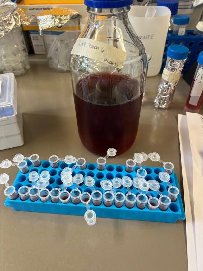 A table with a bottle of dark purple liquid half full and a blue tray of opened and closed small test tubes