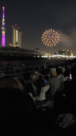 People seated on picnic blankets looking up to the night sky with fireworks by the river and Tokyo Tower lit up across the river